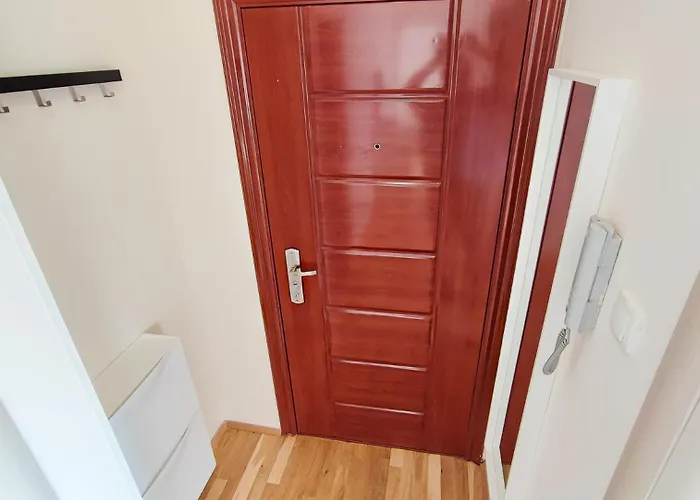 Filinhome Papa 6