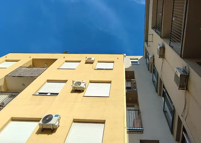 Filinhome Papa 6